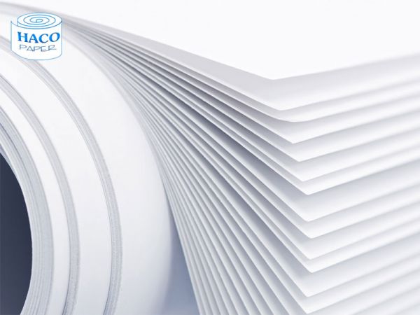 Cung Cấp Giấy Duplex Chất Lượng Cao – Giá Tốt